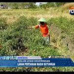 Kekeringan, Lahan Pertanian Butuh Banyak Embung