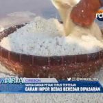 Harga Garam Anjlok Gara Gara Garam Impor