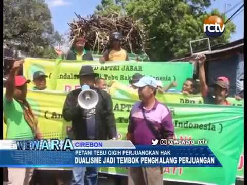 Dualisme Organisasi Jadi Penghalang Perjuangan Petani Tebu