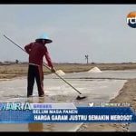 Kasihan, Petani Belum Panen, Eh Harga Garam Justeru Anjlok