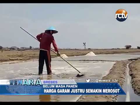 Kasihan, Petani Belum Panen, Eh Harga Garam Justeru Anjlok