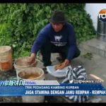 Biar Kuat, Ternyata Kambing Kurban Minum Jamu Rempah Rempah