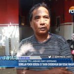 Kondisi TPU Jabang Bayi Gersang, 9 Pohon Berusia 50 Tahun Dirobohkan dan Rusak Makam