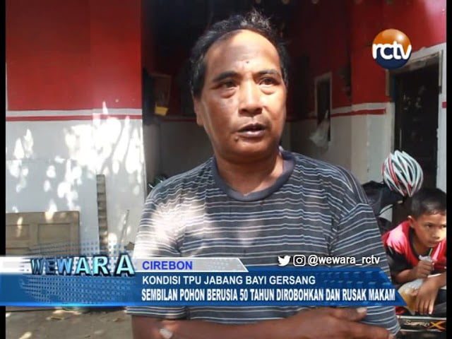 Kondisi TPU Jabang Bayi Gersang, 9 Pohon Berusia 50 Tahun Dirobohkan dan Rusak Makam