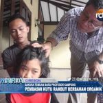 Sakura Temuan Baru Profesor Kampung, Pembasmi Kutu Rambut Berbahan Organik