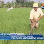 Program Asuransi Pertanian Tidak Tersosialisasi, Petani Tak Bisa Dapatkan Manfaat Asuransi