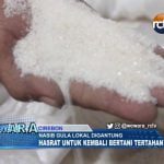 Nasib Gula Lokal Digantung, Hasrat Untuk Kembali Bertani Tertahan