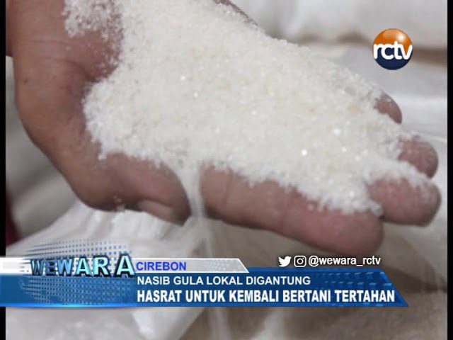 Nasib Gula Lokal Digantung, Hasrat Untuk Kembali Bertani Tertahan