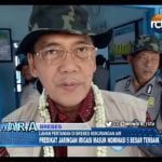 Lahan Pertanian Di Brebes Kekurangan Air