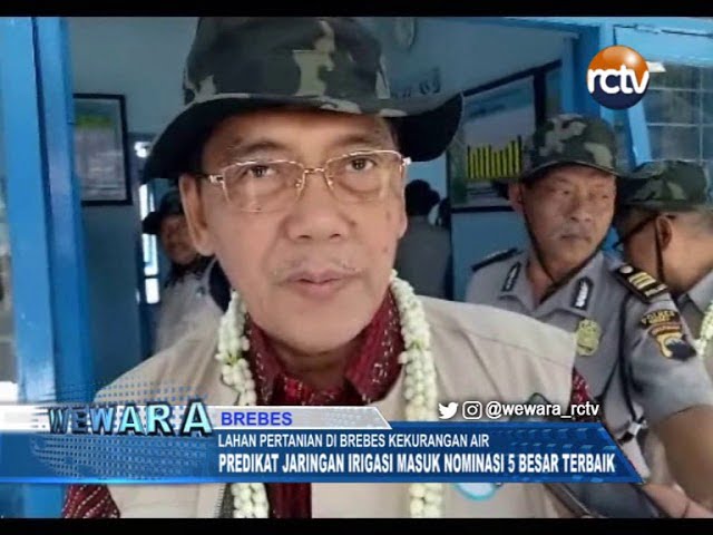 Lahan Pertanian Di Brebes Kekurangan Air