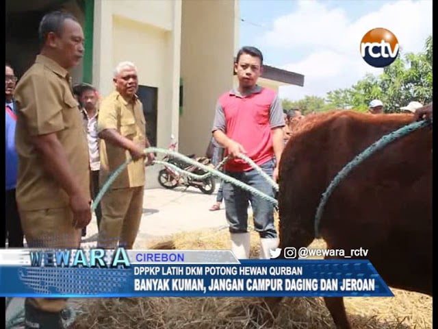 Begini Cara Memotong Hewan Kurban Yang Baik