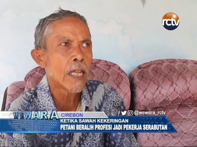 Sawah Kekeringan, Petani Alih Profesi Jadi Pekerja Serabutan