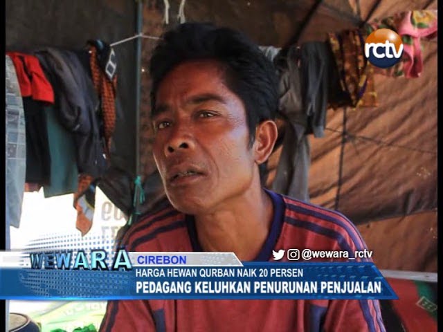 Harga Hewan Qurban Naik, Pedagang Ngaku Sepi Jualannya