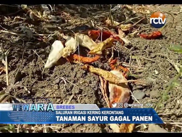 Saluran Irigasi Kering, Tanaman Gagal Panen