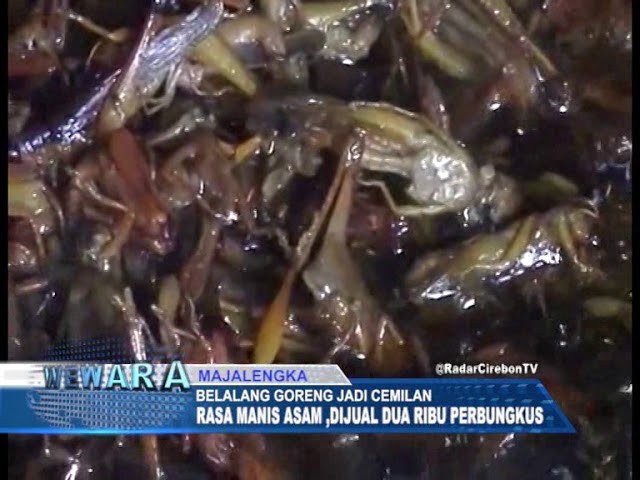 Nikmatnya Cemilan Belalang Goreng