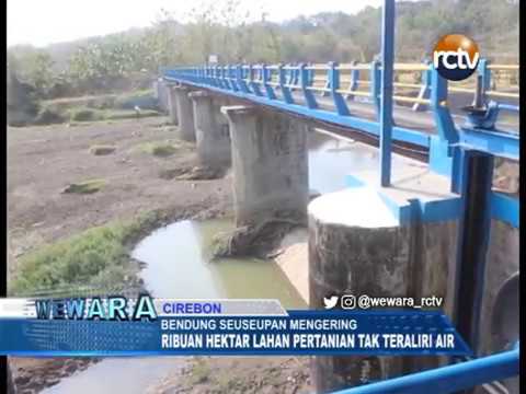 Bendung Seuseupan Mengering, Ribuan Hektar Lahan Pertanian Tak Teraliri Air