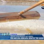 Produksi Garam Meningkat Saat Kemarau