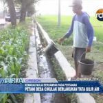 Kemarau Datang, Petani Desa Cikulak Berlakukan Tata Gilir Air