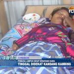 Miris, Pemuda Lumpuh Hidup Sebatang Kara dan Tinggal Dekat Kandang Kambing