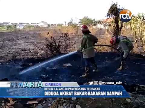 Satu Hektare Kebun Ilalang di Pamengkang Terbakar Satu Hektare Kebun Ilalang di Pamengkang Terbakar