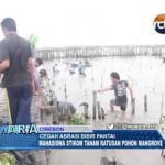 Cegah Abrasi, Mahasiswa Stikom Tanam Ratusan Pohon Mangrove