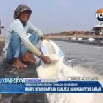 Mantab, Pembuatan Garam Dengan Teknologi Geomembran