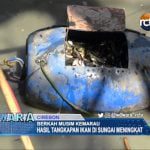 Berkah Musim Kemarau, Hasil Tangkapan Ikan Meningkat