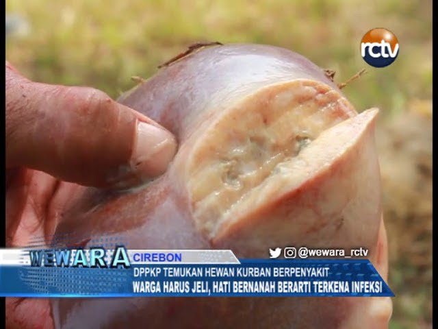 Serem, DPPKP Temukan Hewan Kurban Berpenyakit