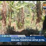 Pembangunan Shelter PKL Bima Tahap Lelang