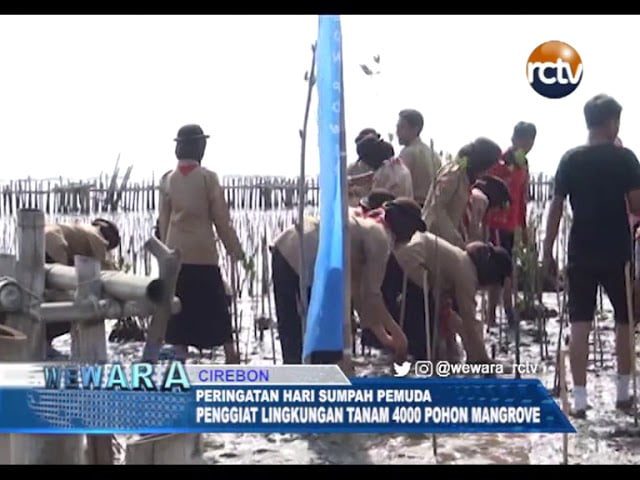 Peringati Sumpah Pemuda, Penggiat Lingkungan Tanam 4000 Pohon Mangrove