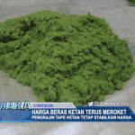 Harga Beras Ketan Meroket, Pengrajin Tape Ketan Tidak Naikkan Harga