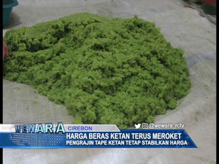 Harga Beras Ketan Meroket, Pengrajin Tape Ketan Tidak Naikkan Harga Harga Beras Ketan Meroket, Pengrajin Tape Ketan Tidak Naikkan Harga