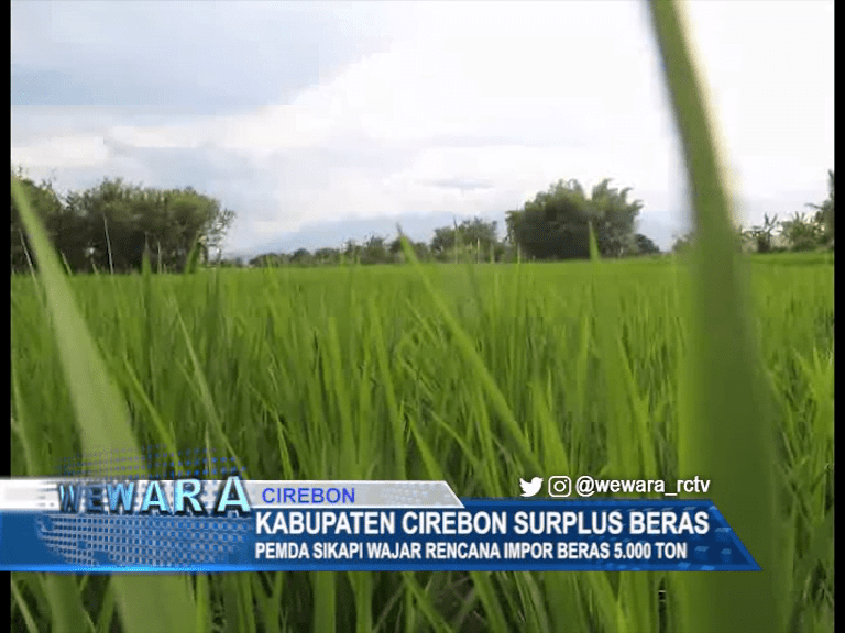 Kabupaten Cirebon Surplus Beras, Pemda Sikapi Wajar Rencana Impor Beras