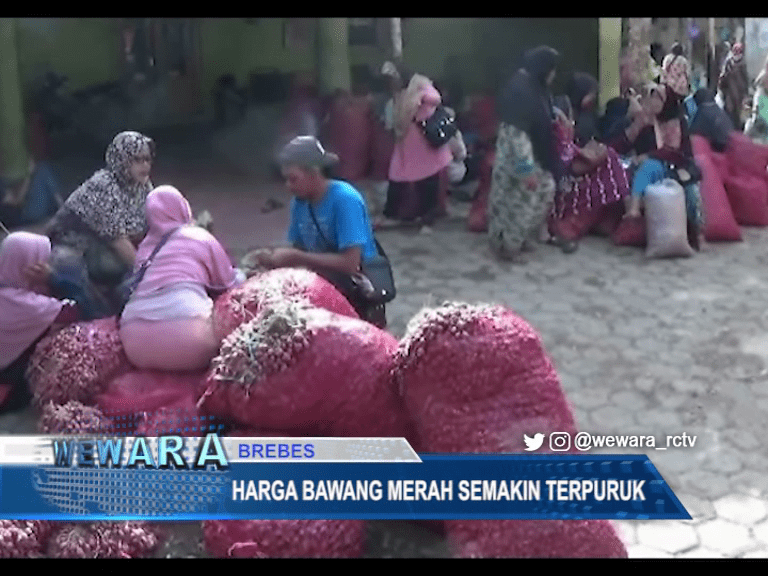 Harga Bawang Merah Semakin Terpuruk