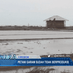 Petani Garam Sudah Tidak Berproduksi, Harga Garam Lokal Cirebon Semakin Tinggi