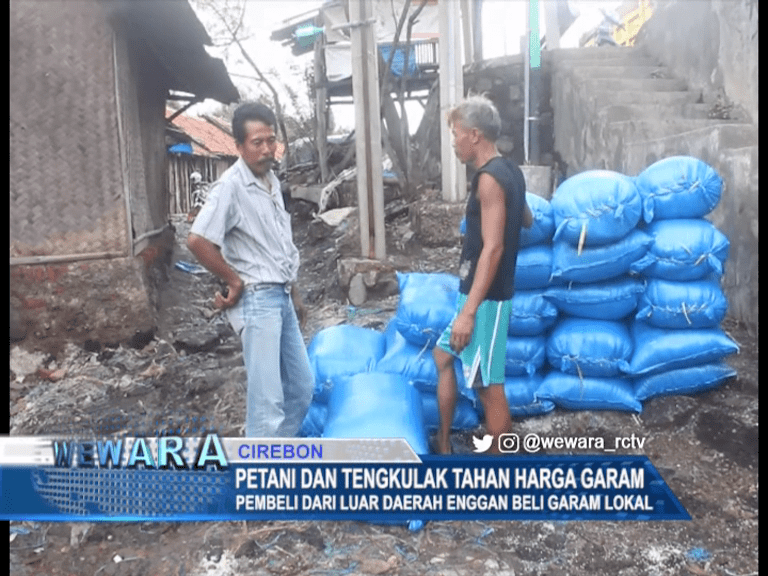 Petani dan Tengkulak Tahan Harga Garam