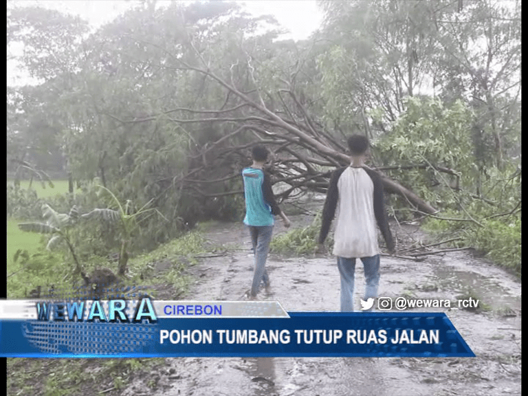 Pohon Tumbang Tutup Ruas Jalan