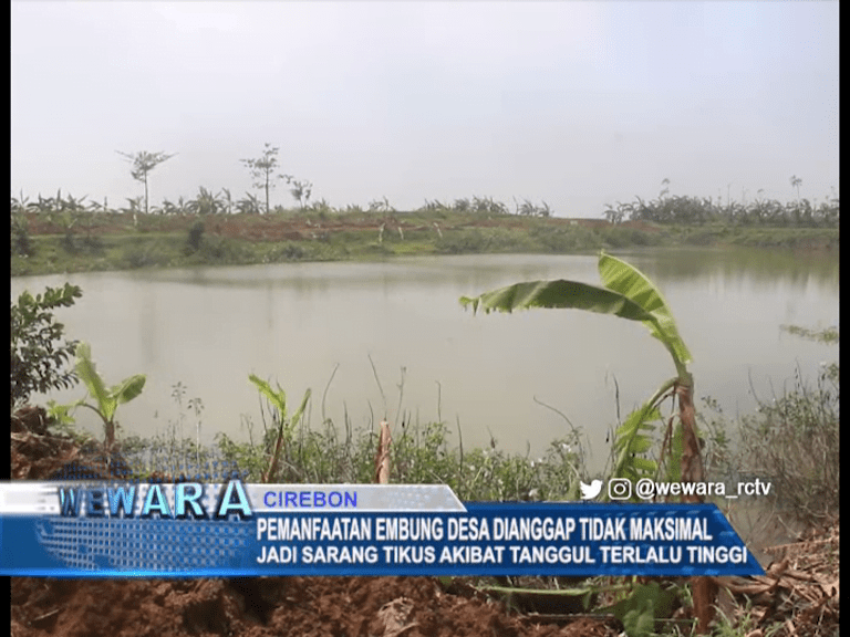 Pemanfaatan Embung di Desa Slendra Dianggap Tidak Maksimal