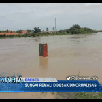 Sungai Pemali Didesak Dinormalisasi