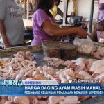 Harga Daging Ayam Masih Mahal