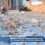 Mengintip Produksi Pengolahan Kulit Ular