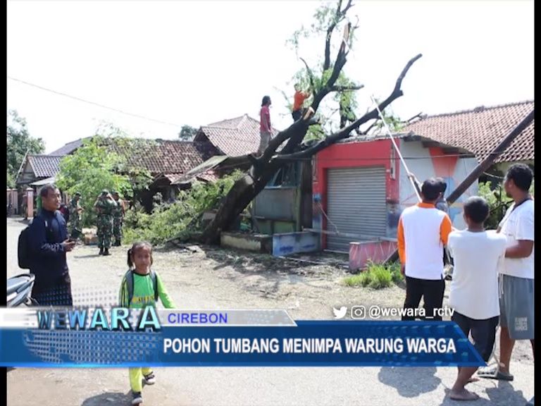 Pohon Tumbang Menimpa Warung Warga