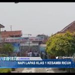 Napi Lapas Klas 1 Kesambi Ricuh