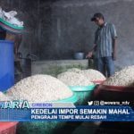 Kedelai Impor Semakin Mahal Pengrajin Tempe Mulai Resah