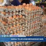 Harga Telur Ayam Merangkak Naik