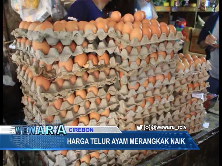 Harga Telur Ayam Merangkak Naik