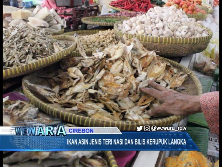 Ikan Asin Jenis Teri Nasi Dan Bilis Kerupuk Langka