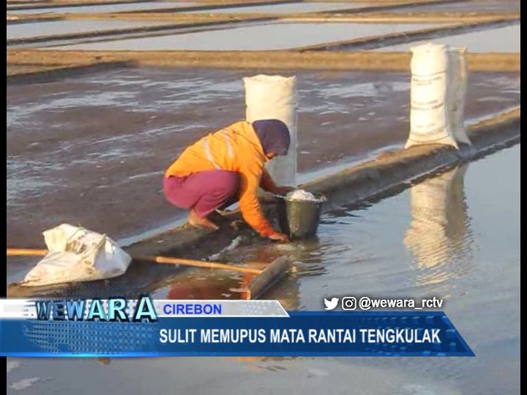 Sulit Memupus Mata Rantai Tengkulak, Petani Garam Lokal Sukar Gapai Sejahtera