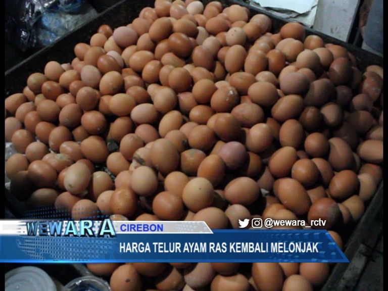 Harga Telur Ayam Ras Kembali Melonjak, Dari Agen Sudah Mencapai Rp 26.500 Perkilogram