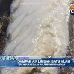 Dampak Air Limbah Batu Alam Tercampur Ke Dalam Kolam Pembenihan Ikan